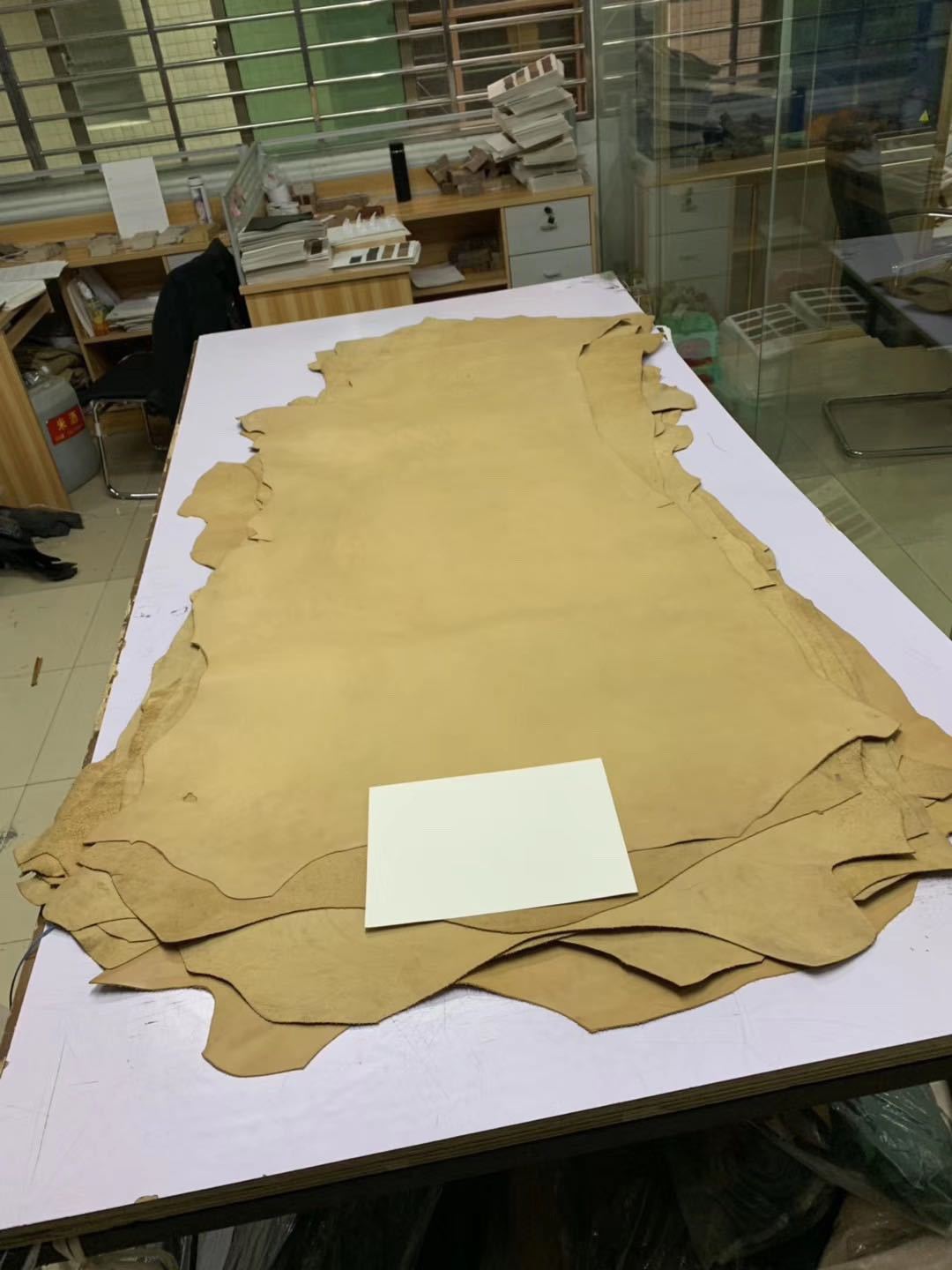 麦黄色孟加拉树膏皮 厚约1.2mm 特价出售8.8元一尺 不包邮不挑选