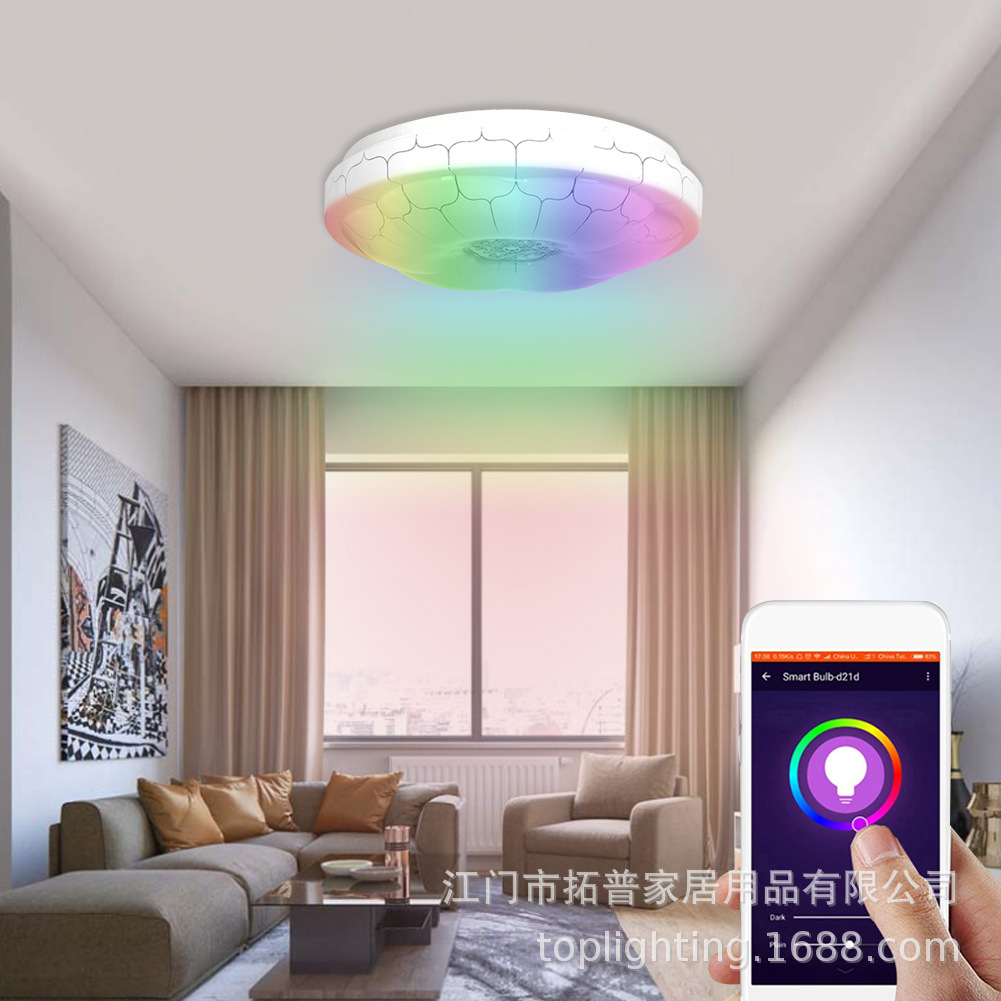 WIFI intelligence Dimming Bedroom lights Modern simplicity led Ceiling lamp originality personality household Small living room WIFI Light