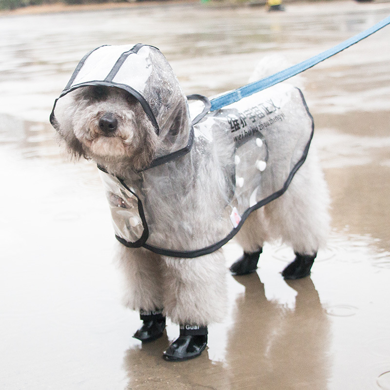 Nueva primavera cachorro banda reflectante impermeable para mascotas poncho transparente Teddy cachorro ropa para perros