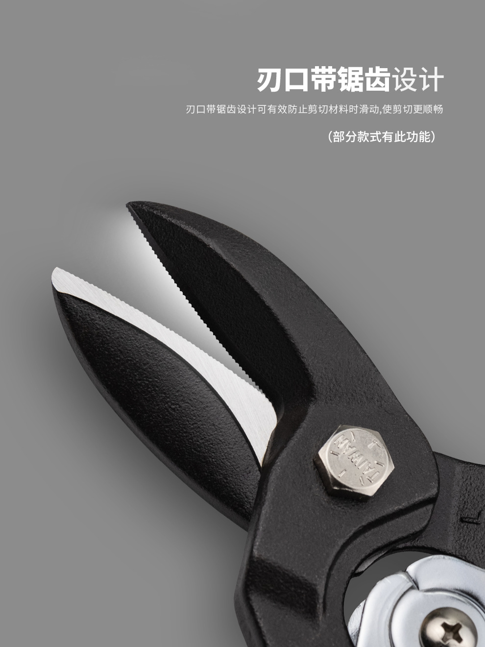 详情5
