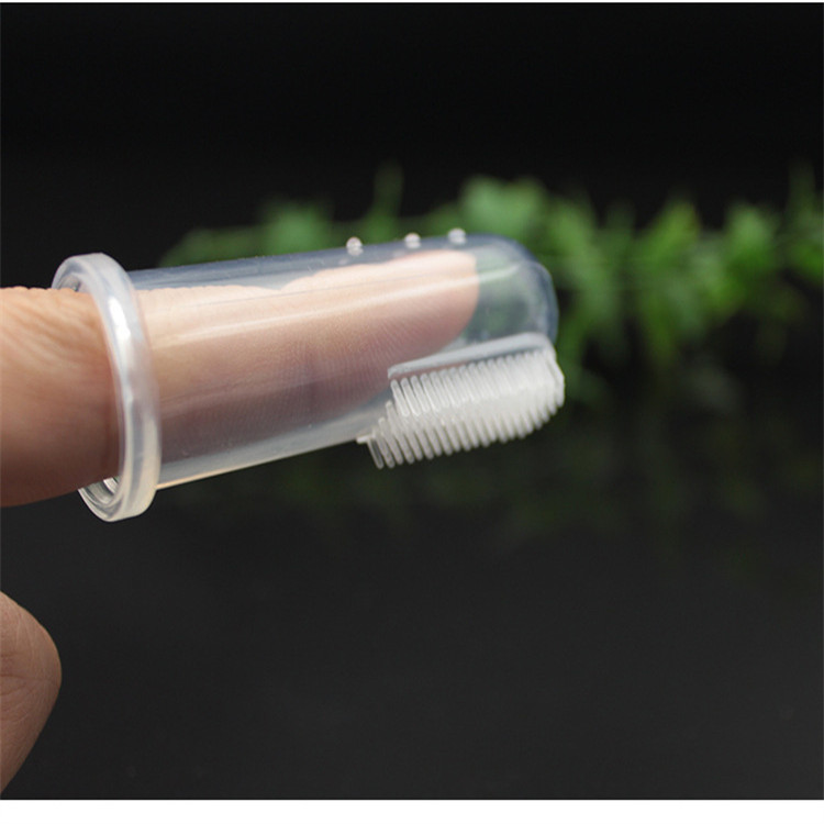 9089870871_1912661725