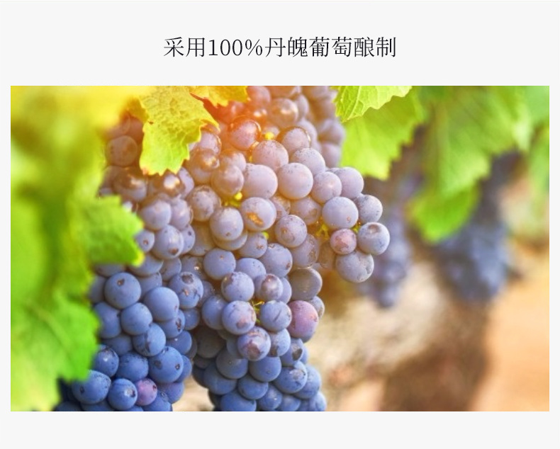 详情_03.jpg