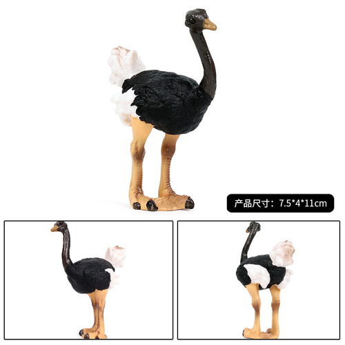 Cross-border children's cognitive simulation wild animal bird model African ostrich bird toy ornaments hand-made set