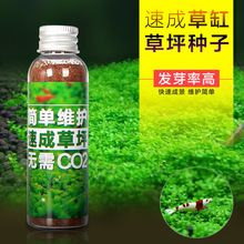 �ݸ�ˮ�ݷN�ӻ��wˮ���쾰�����~��ˮ�ݷN��ǰ��������ţë�ݷN��