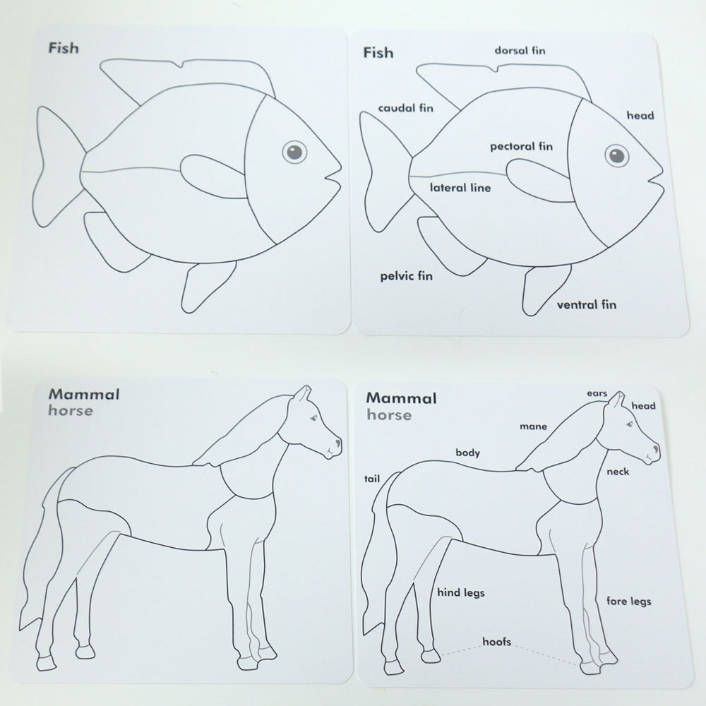 Large animal picture puzzle-4