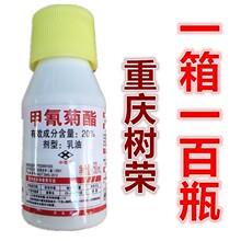 甲氰菊酯藤精清塘黄鳝泥鳅捕虾药灭扫利杀虫剂重庆树荣50毫升