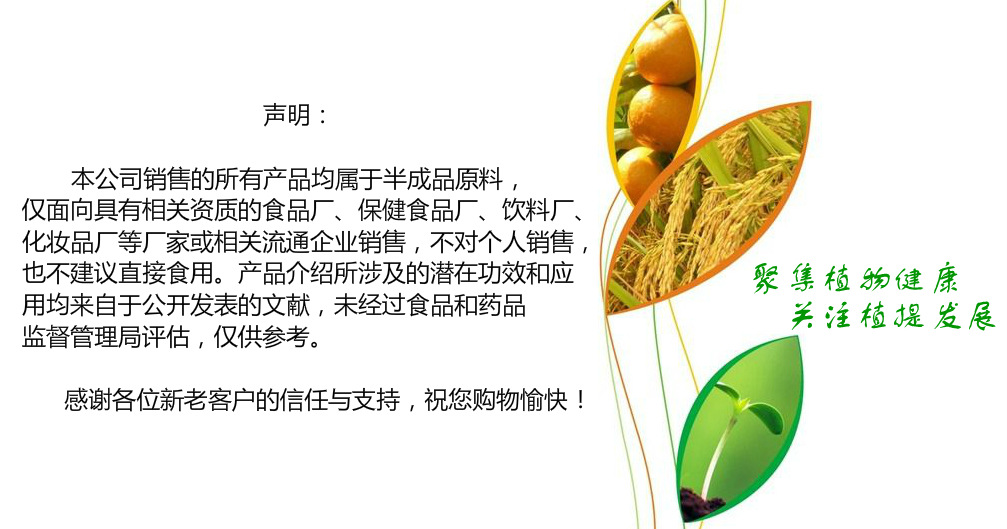 冠晨目录模板_meitu_1