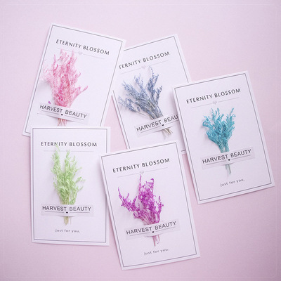 節日幹花卡片禮盒永生花配件教師節賀卡拍照道具情人草幹花擺件