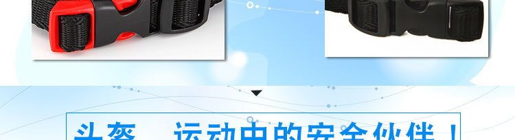 K-12海洋馆、蝎子内页详情1_06