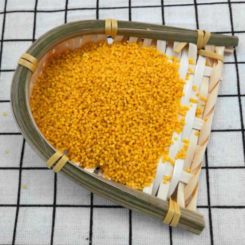 沁州黄【新小米】2.5Kg黄小米批发山西特产月子食用小黄厂家直销|ms