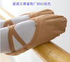 Ballet shoes, dance shoes, practice shoes, 2 shoes, cat paw shoes