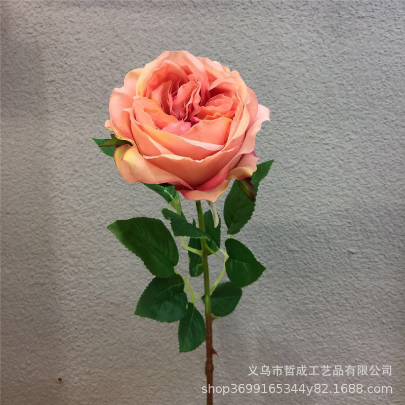 微信图片_20190215211508.jpg