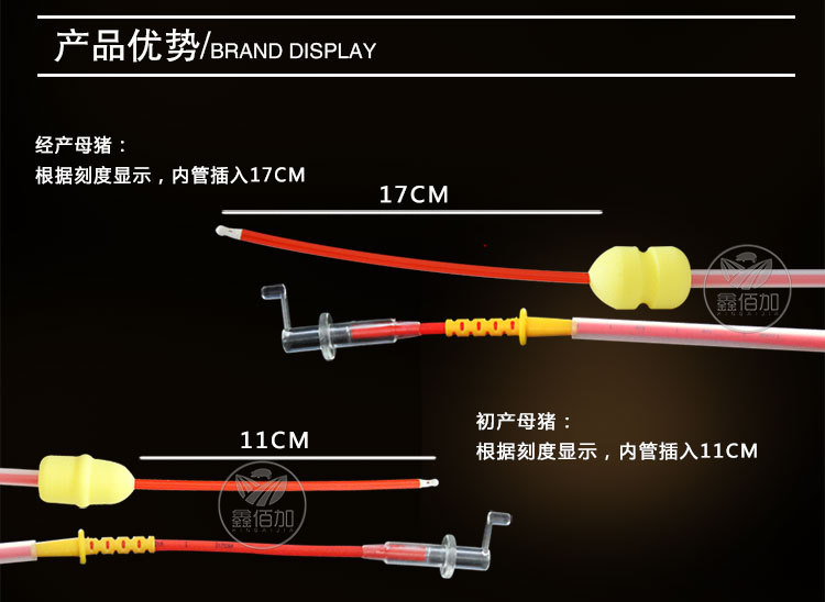 深部输精管刻度B详情页 (5).jpg