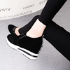 High loafers platform, casual footwear, Korean style