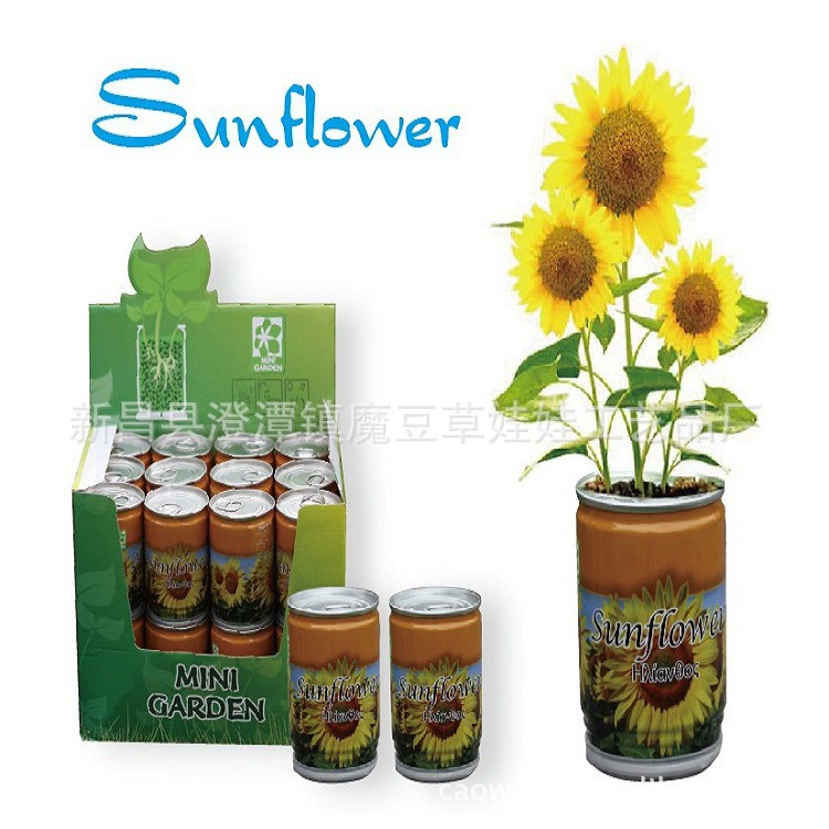 Иу кукла травы может цветок Волшебная фасоль офис Посадка Крытый Мини завод 2 юаня продукты