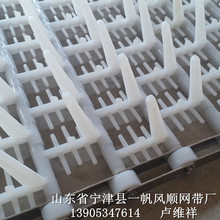 ;ϴW ϴCW ݔ͎ OӋ ϴ SֱN