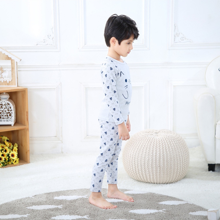 S8019-灰色猫咪 (5).jpg