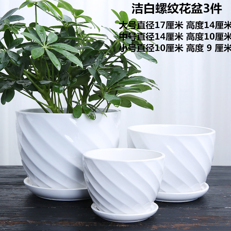 114A1943 副本_副本