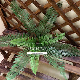 大铁树叶波斯蕨类叶绿化工程仿真植物墙配材摄影婚庆假花路引装饰