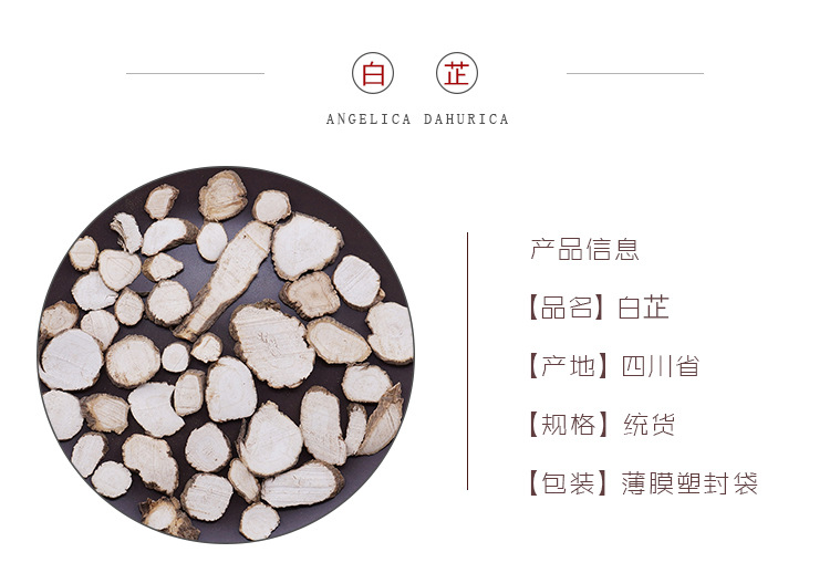 Dried Angelica Dahurica Bai Zhi Slices 500g Sichuan Aromatic Herb for Decoction and Culinary Use overview