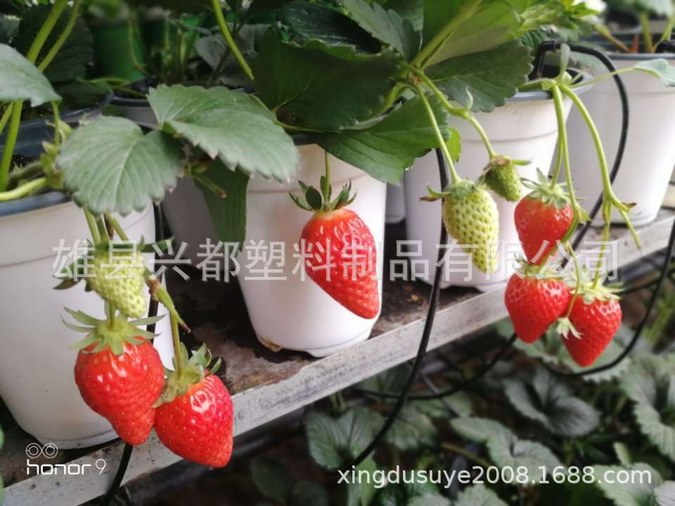 微信图片_20190806195337