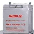 BAYKEE柏克蓄电池6FM24 柏克12V24AH阀控式铅酸免维护12伏24安时