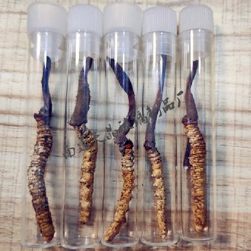 单根虫草玻璃试管瓶 透明玻璃平底分装瓶带盖 高硼硅藏红花包装瓶