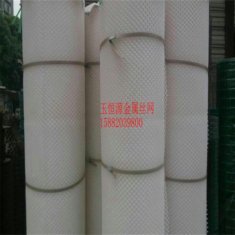 供应四川塑料网养殖网PE塑料平网鸡网塑料网隔离网