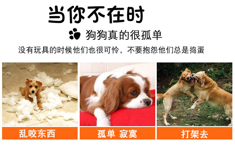 荣昌体育详情7_03