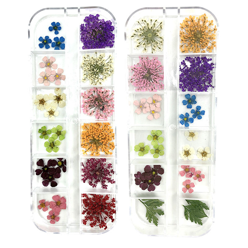 Nail art dried flower nail jewelry DIY lace flower all over the Sky star daffodil small plum blossom Japanese 12 color box embossed