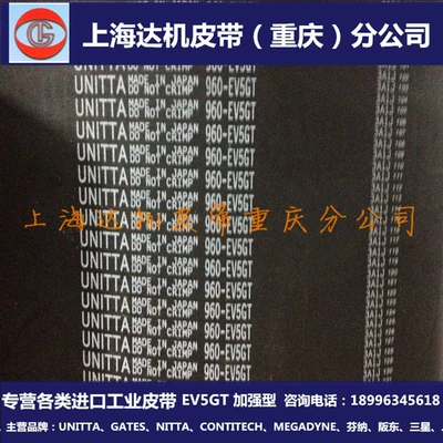 Reinforced Japan UNITTA Avtomobil ötürücü kəmərləri