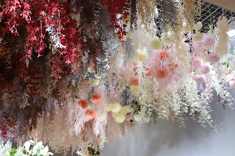 凤尾草 效果图12.jpg