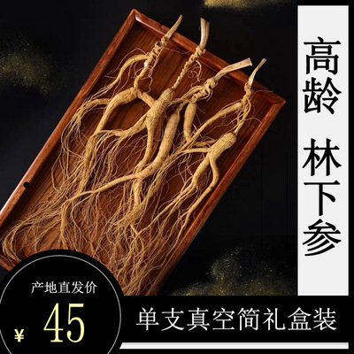 吉林长白山人参 紫 云 山参 东北林下参籽参 紫云参 一件代发包邮