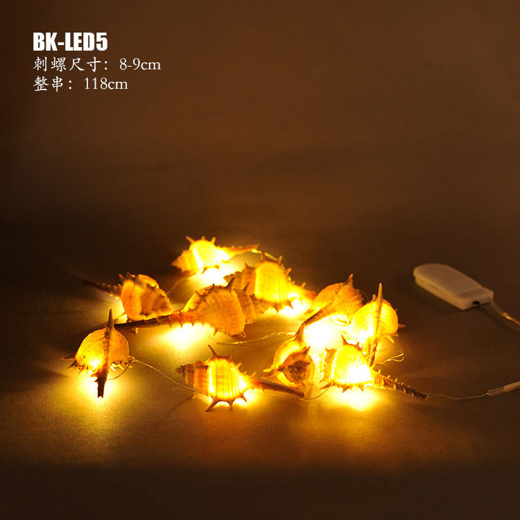 BK-LED5 (3)