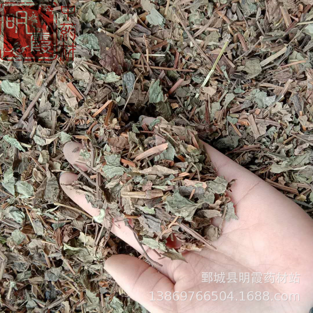 【鱼腥草】1000克 批发零售供应  中药材