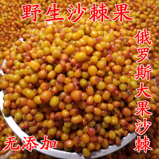 ɳ����Ұ��ɳ�������d���XҰ��ɳ����֮�lԭ�a��   1000g���]