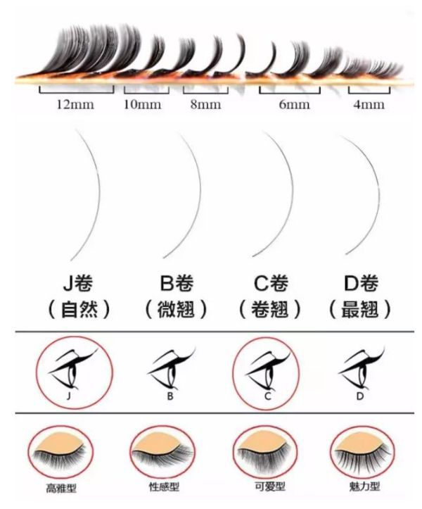 睫毛翘度.jpg