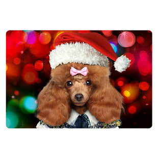 AliExpress�D��ӡˢ�T�ډ|�}�Q�؉| ԡ���}�Qñ�ӵ؉|doormat