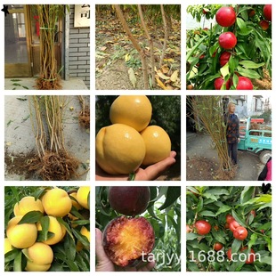 ˮ���ҹ��� ��ɏ���� ����t�� ���ؿ������� ����Ʒ�N�Ҙ���