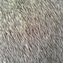 �S��ֱ�NС�@�C���Lë�q����Ȧ�q�L���pɫ�����ë�q��