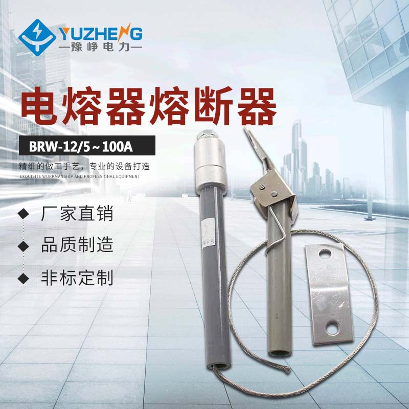 BRN-12/50TP 喷逐式熔断器 电容器保护熔断器 