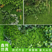 ֲƺϼٲƺGֲbȼFݾ^