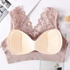 Oolong tea Da Hong Pao, lace removable top with cups, protective underware, bra top, underwear, wholesale