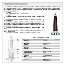 110KV| 1x300mm2Cʡ