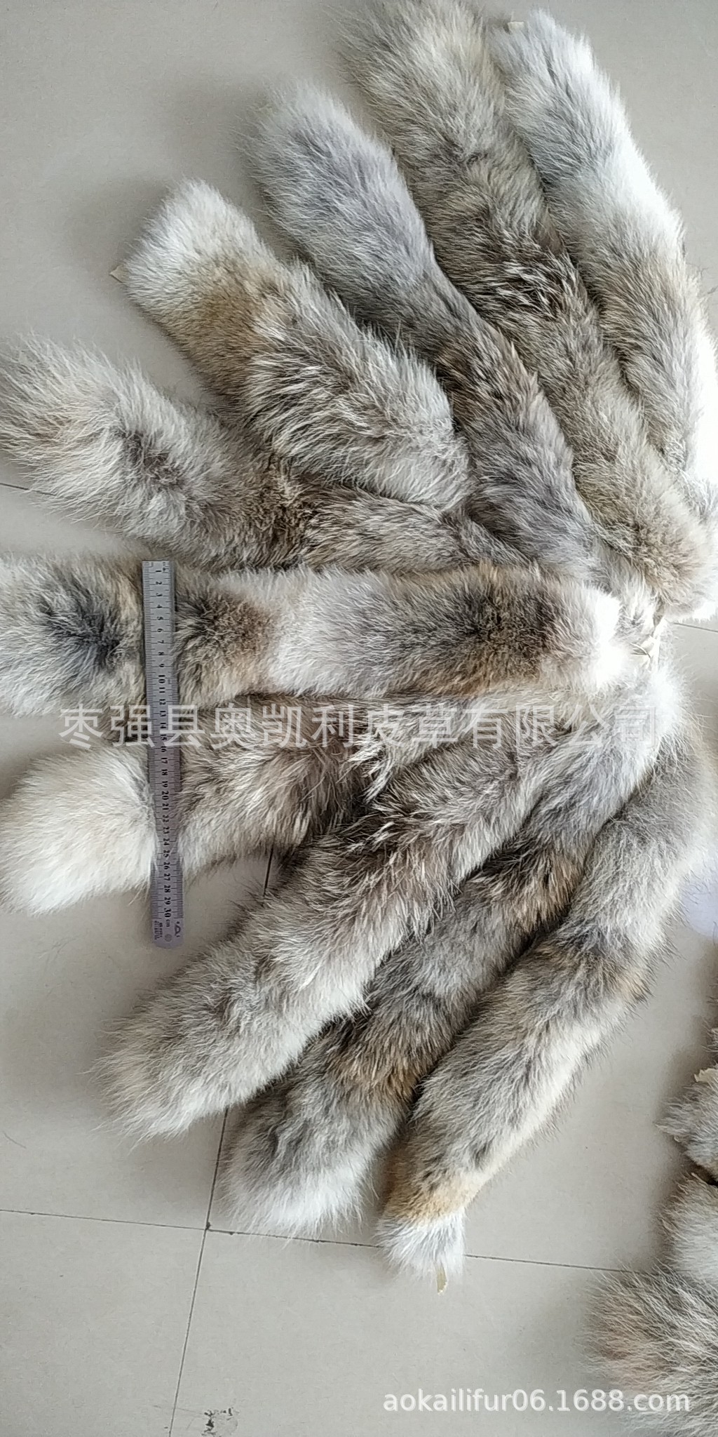 mmexport1556246918121