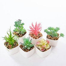 ����������ֲ���辰�����裩���滨����[�� ����С����������