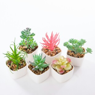 ����������ֲ���辰�����裩���滨����[�� ����С����������