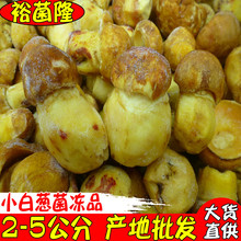 【裕菌隆】 速冻白葱 黄牛肝菌 小白葱菌2-5公分 酒店黄牛肝冻品