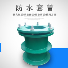 Էˮ׹02S404D ˮ׹DN100 ԷoA