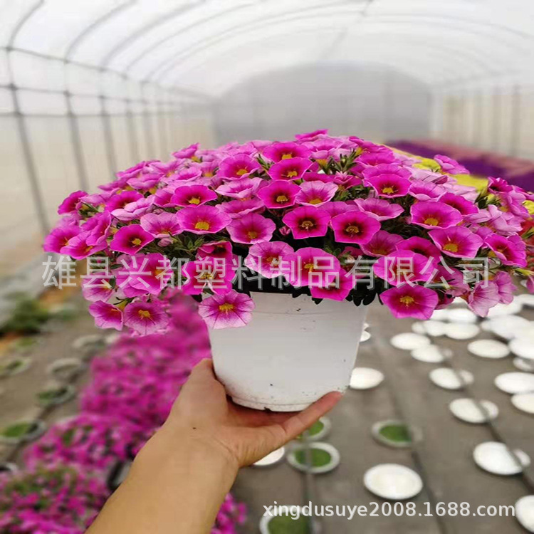 微信图片_20190727154232